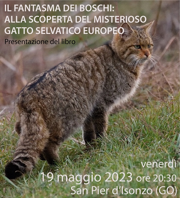 Z Banner_Gatto_selvatico_Libro_San Pier-2023